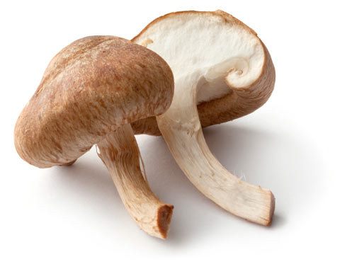 Asian Mushrooms