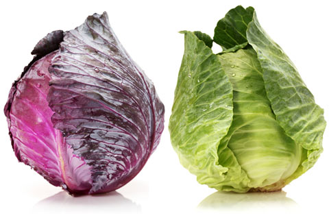 Cabbage