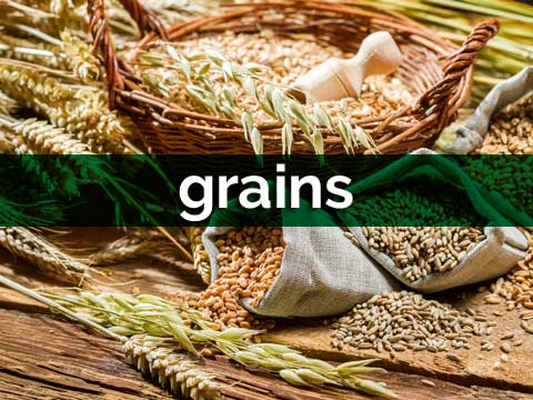 Grains