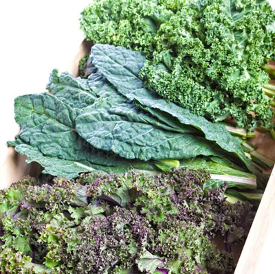 Flat or curly, red and green kale has cancer fighting effects.